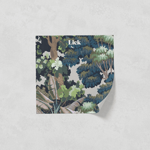 Load image into Gallery viewer, Canopy 01